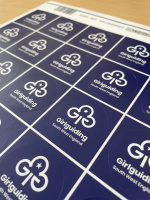 girlguiding_swe_logo