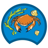 crab-blue