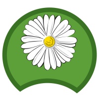 daisy-green