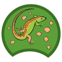 lizard-green