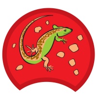 lizard-red