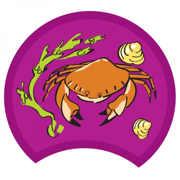 crab-purple