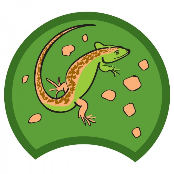 lizard-green