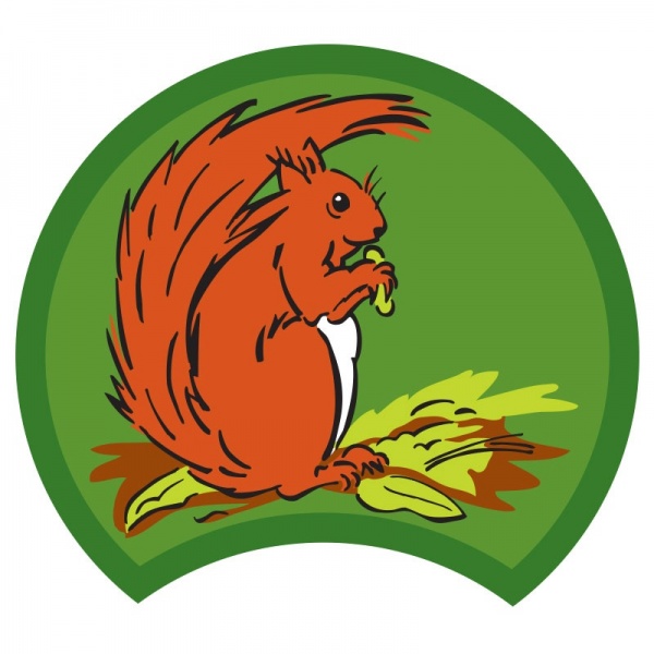 squirrel-green